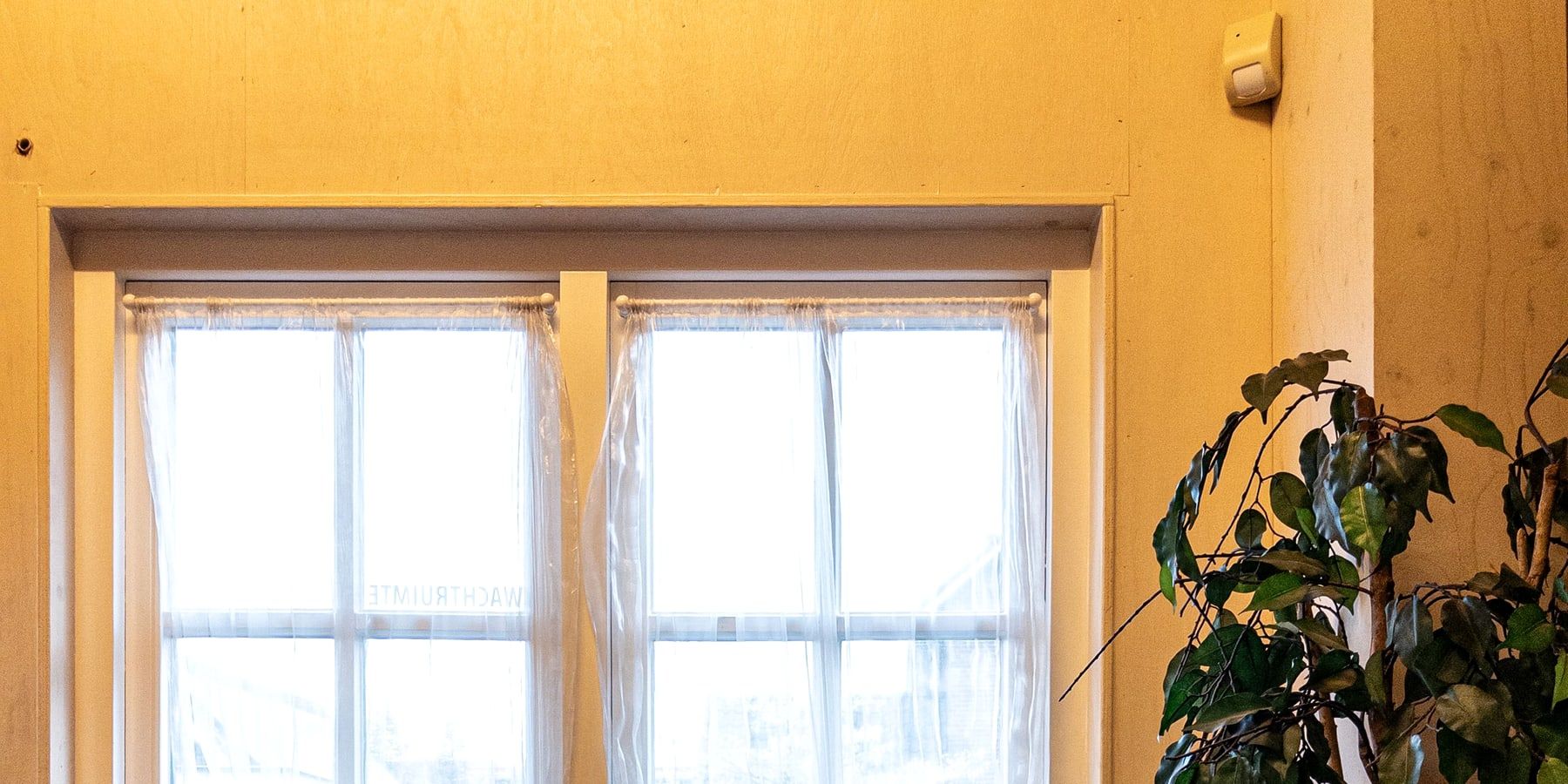 Wartebereich mit Stühlen aus Holz, einem Tisch, einer Zimmerpflanze und einem Fenster.
